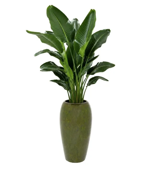 Donica CALI 62 cm - zielony