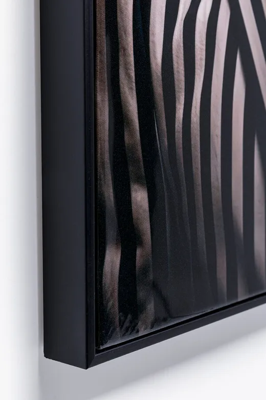 Obraz MISTER ZEBRA 50x70
