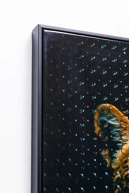 Obraz MISTER LEOPARD 50x70