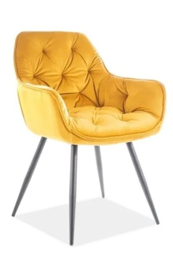 tkanina Bluvel 68 Krzesło welurowe pikowane CHERRY Velvet - curry  Bluvel 68
