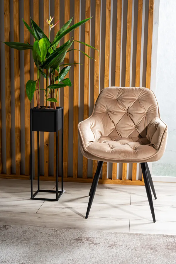Krzesło welurowe pikowane CHERRY Velvet - beż Bluvel 28