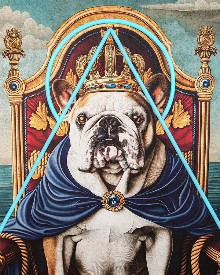 Obraz NEON BULLDOG 80x100