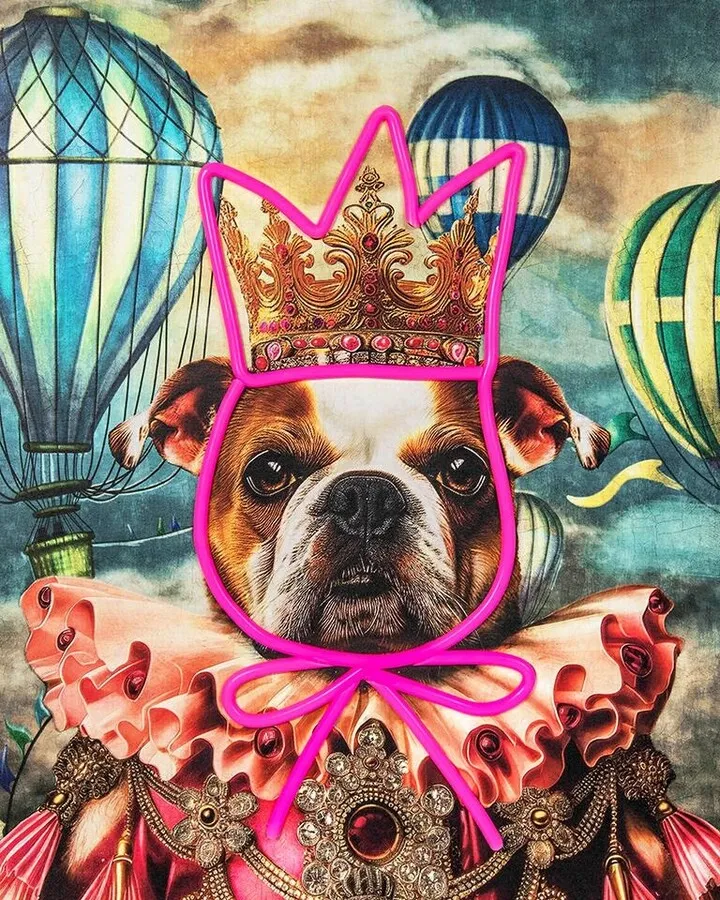 Obraz NEON BULLDOG BALOON 80x100