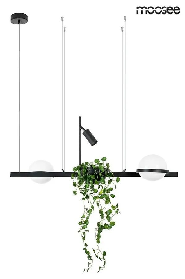 MOOSEE Lampa wisząca PLANT - czarny