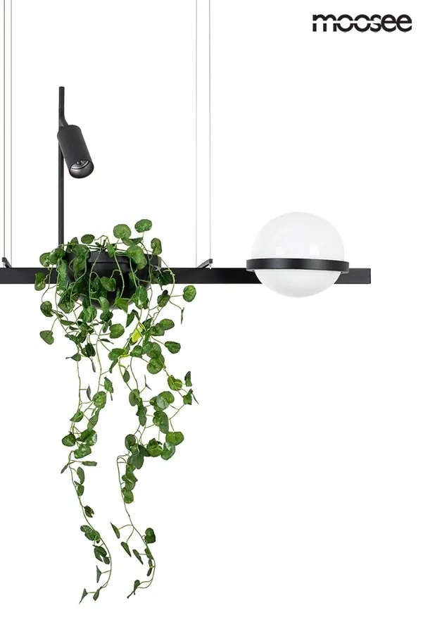 MOOSEE Lampa wisząca PLANT - czarny