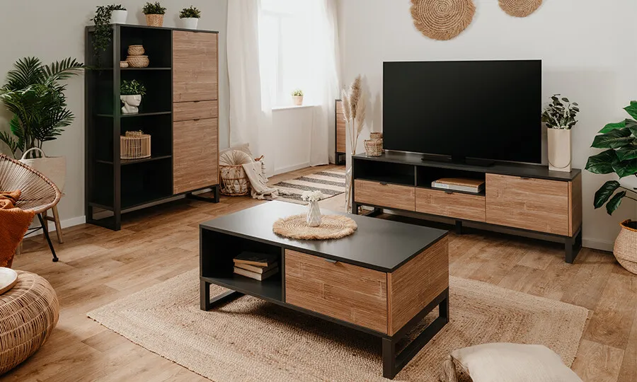 Szafka RTV 1-drzwiowa SUMATRA 2 szuflady - brązowy/antracyt mat