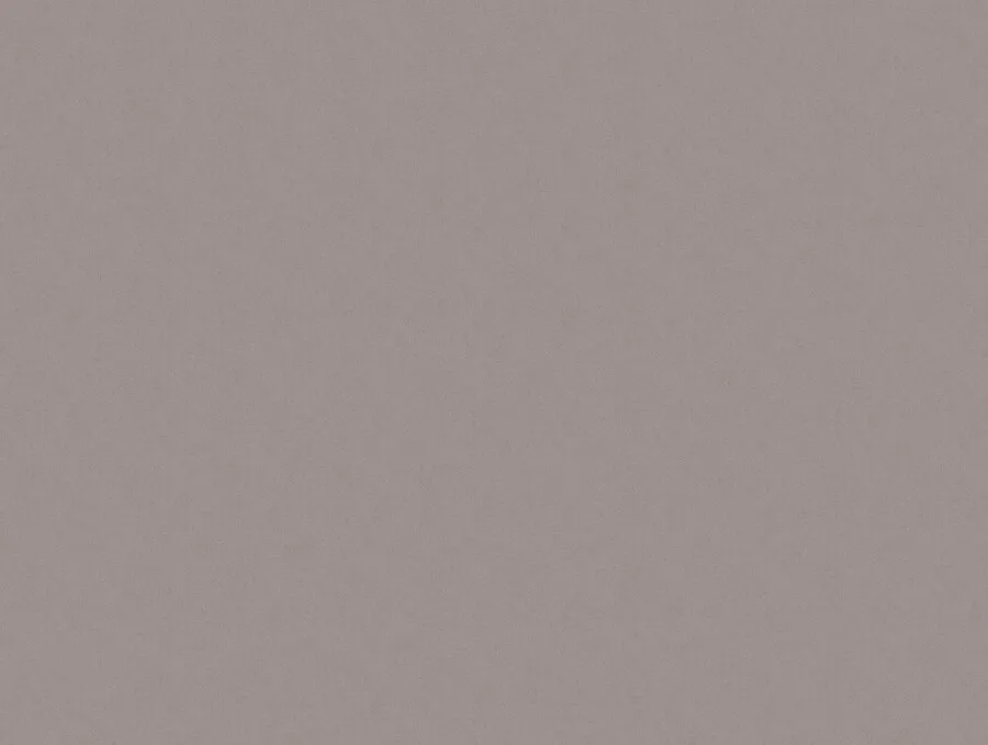 Wycinek płyty w formacie 2800 x 2070 mm Obrzeże meblowe ABS IDEA FB80 Renio 23x1 mm Cleaf