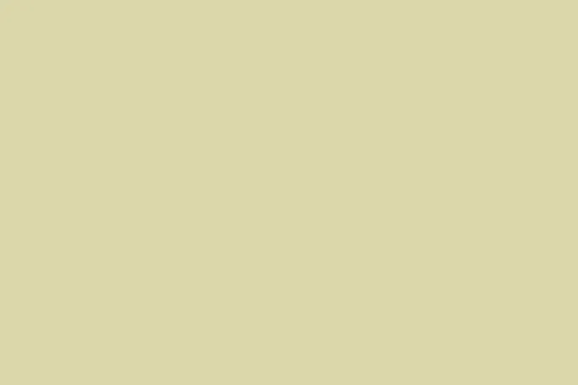 Wycinek płyty w formacie 900 x 600 mm Obrzeże ABS U617 ST9 Zieleń Wasabi 23 x 0.8 mm EGGER