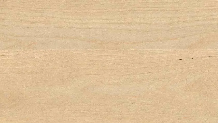 Wycinek płyty w formacie 297 x 168 mm Obrzeże ABS H3840 ST9 Klon Mandal naturalny 23 x 0.8 mm EGGER