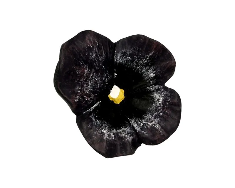 Gałka H126-50 Z Kolekcji Flower Granatowy Bratek