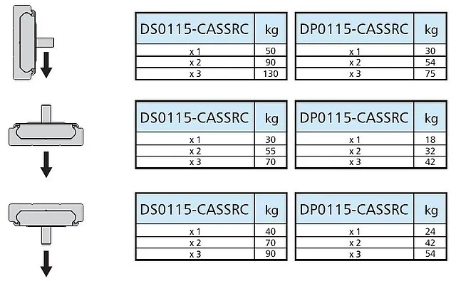 Prowadnica liniowa DA0115-RCH z otworami / dł. 240 cm / 130 kg 