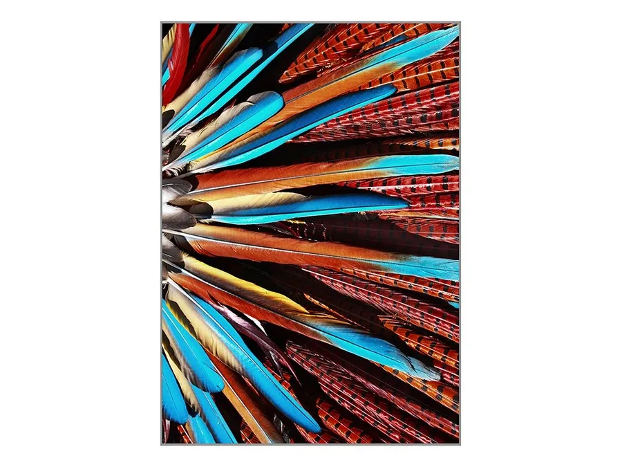 Obraz pióra TOIG22802 104x144 cm - wielokolorowy