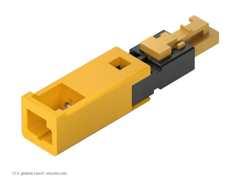 Przejściówka do podłączania do zasilacza LOOX / 12 V / 42 W