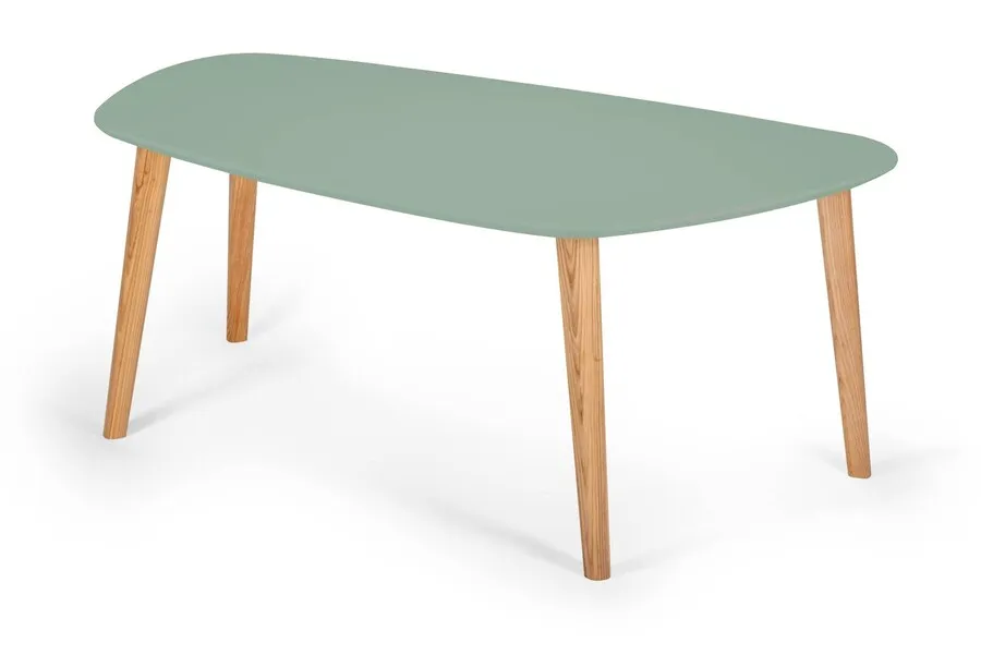 Stolik kawowy ENDOCARP 110x66x45 cm - szałwiowy