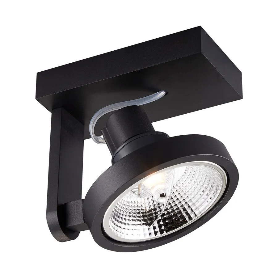 Lampa spot MASTER ACGU10-181-N - czarny
