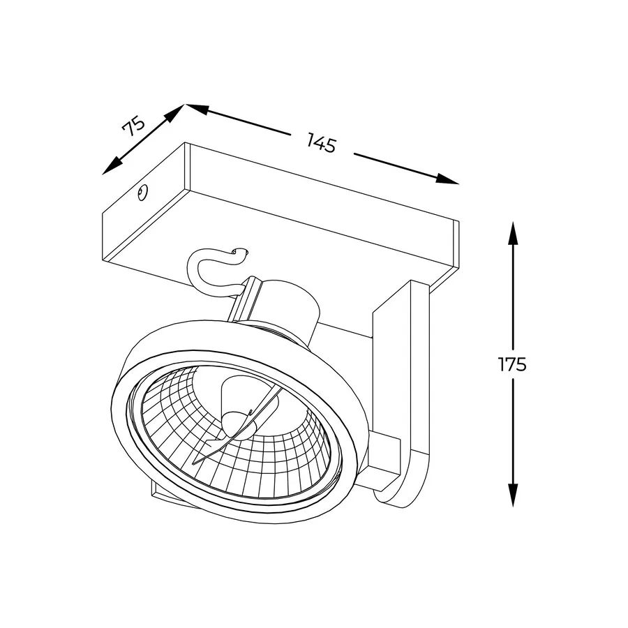 Lampa spot MASTER ACGU10-181-N - czarny
