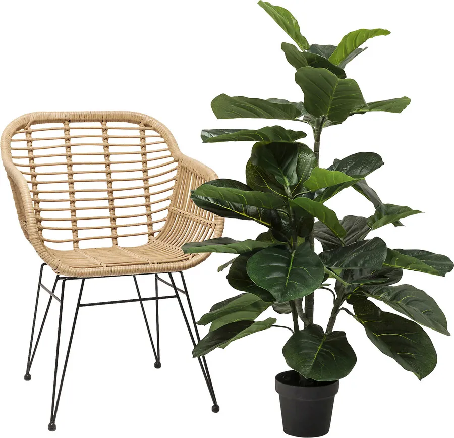 Roślina dekoracyjna FIDDLE LEAF 120