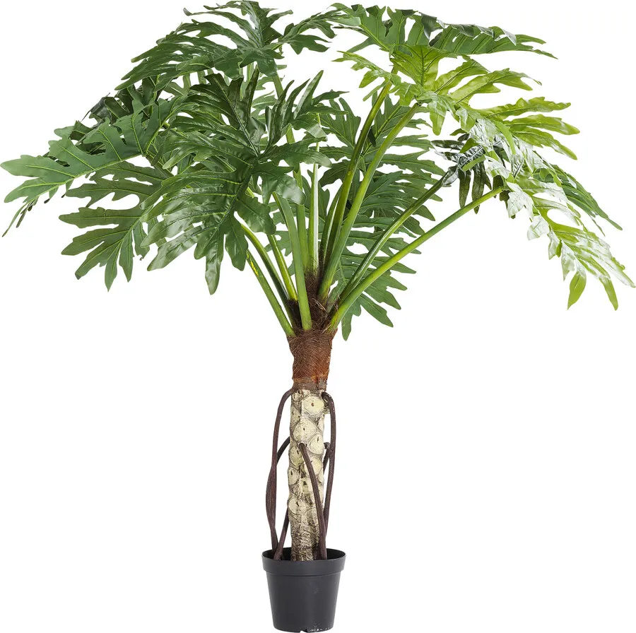 Roślina dekoracyjna BIG MONSTERA 175