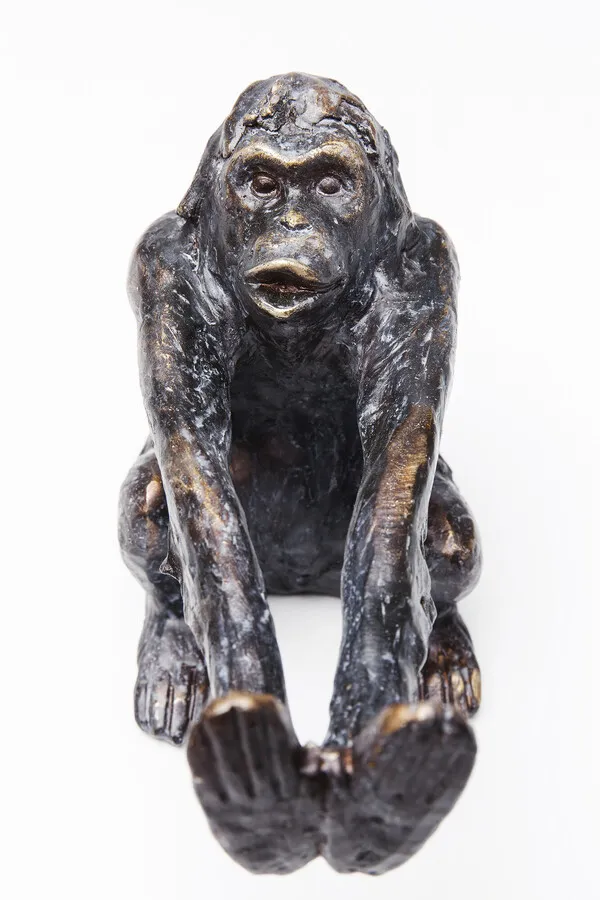 Podpórki na książki MONKEY - brązowy