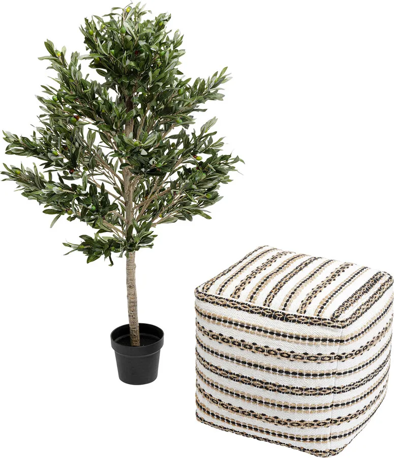 Roślina dekoracyjna OLIVE TREE 120