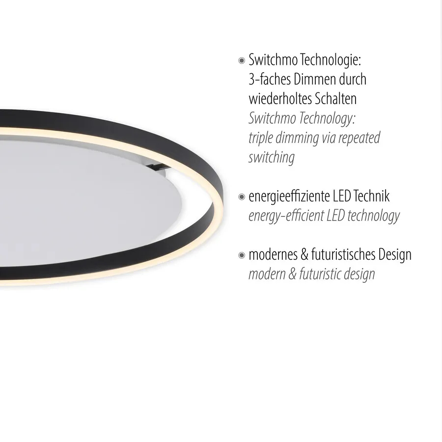 Lampa sufitowa RITUS 15392-13 - antracyt