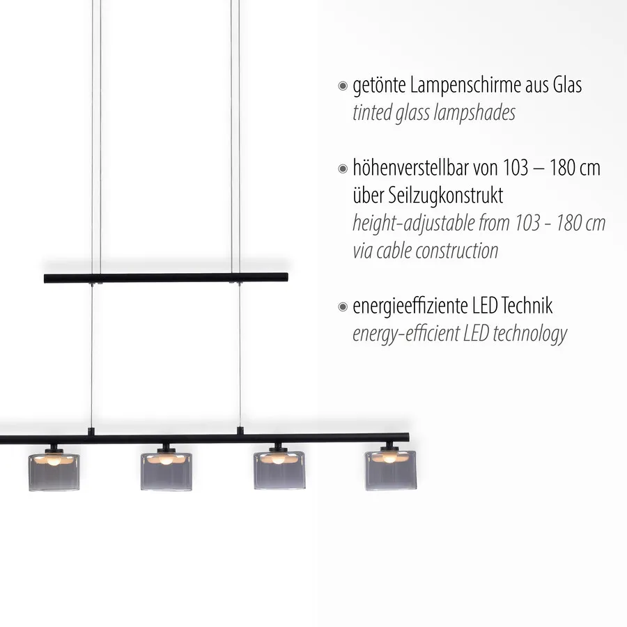 Lampa wisząca HYDRA 2209-18 - czarny