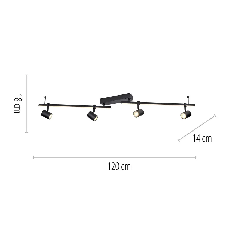 Lampa sufitowa BARIK 6525-18 - czarny