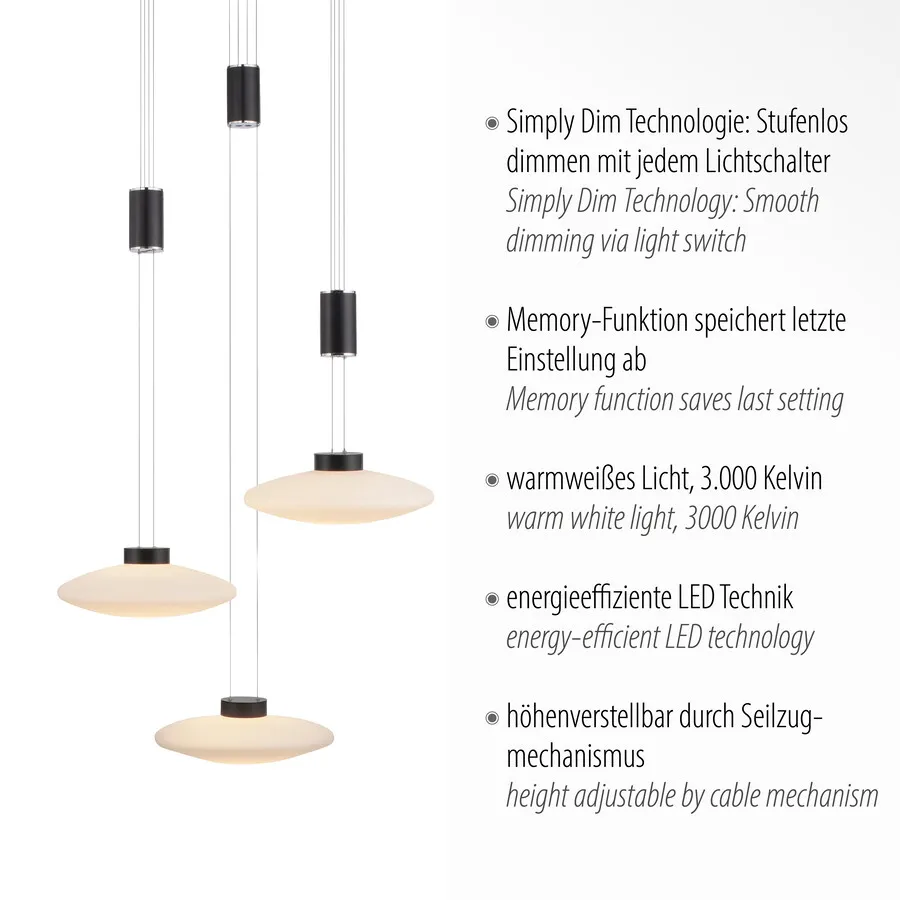 Lampa wisząca LAUTADA 2082-18 - czarny