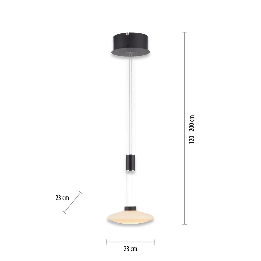 Lampa wisząca LAUTADA 2080-18 - czarny