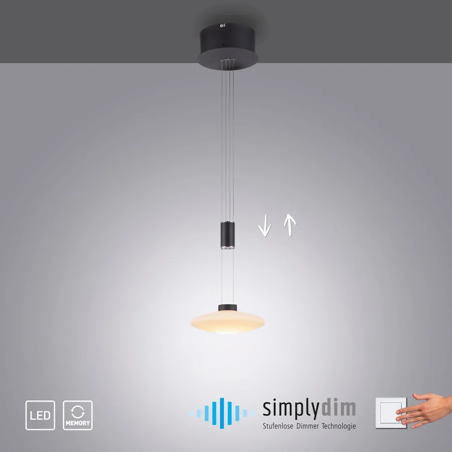Lampa wisząca LAUTADA 2080-18 - czarny