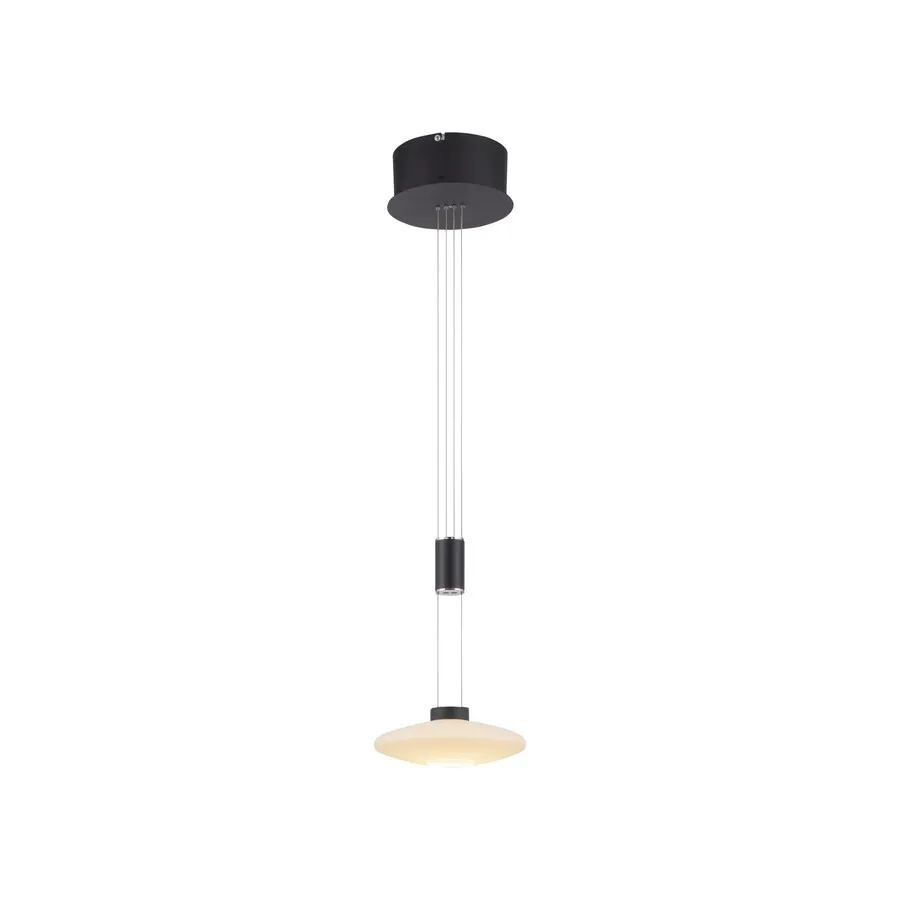 Lampa wisząca LAUTADA 2080-18 - czarny