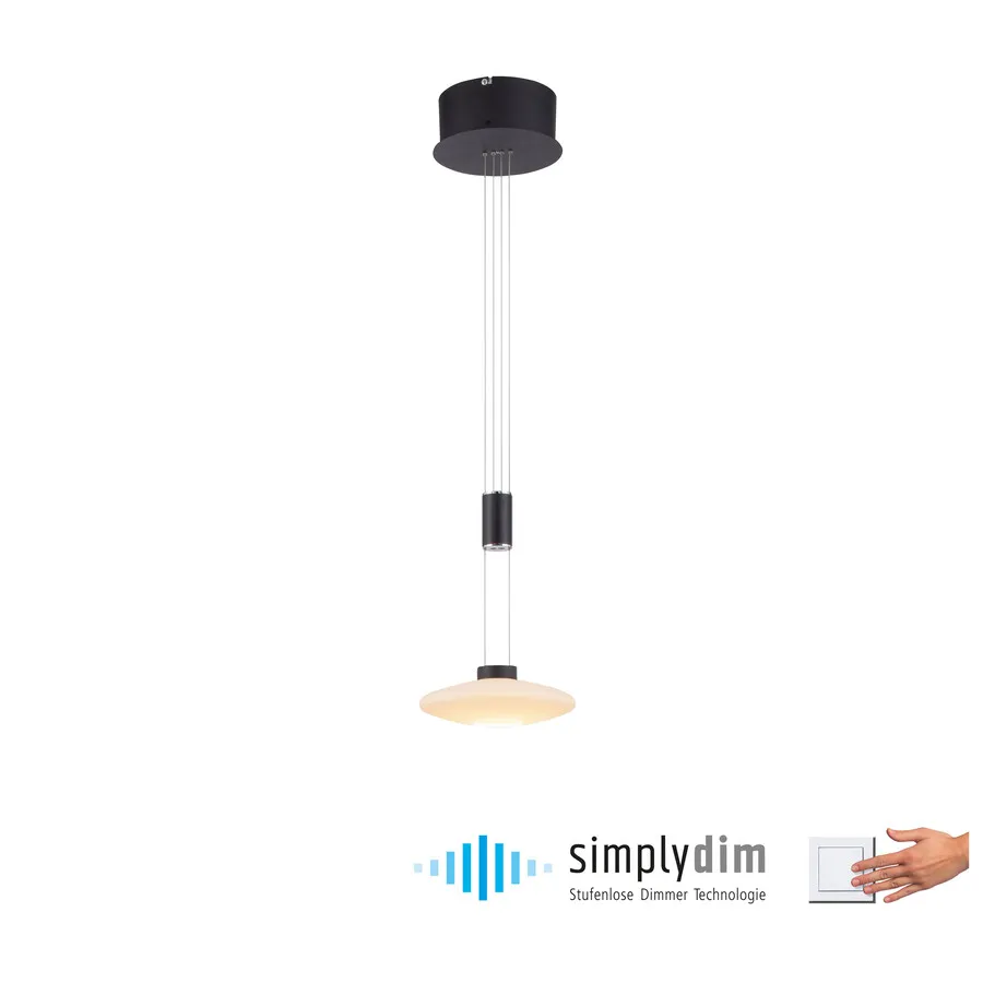 Lampa wisząca LAUTADA 2080-18 - czarny