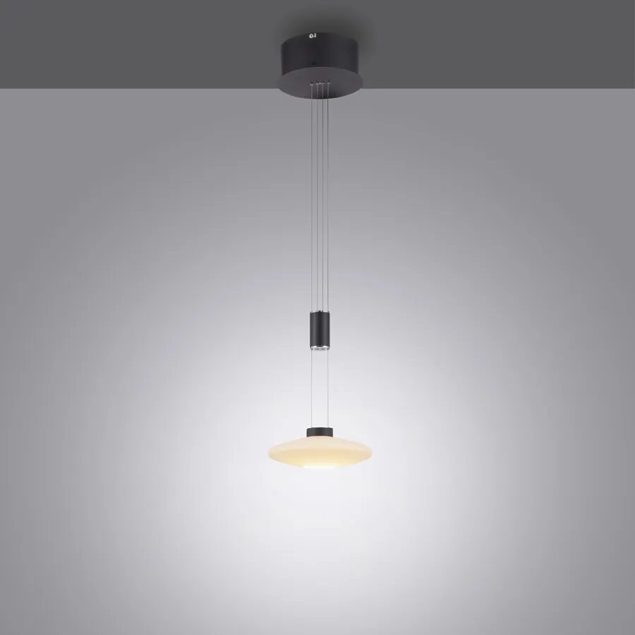 Lampa wisząca LAUTADA 2080-18 - czarny