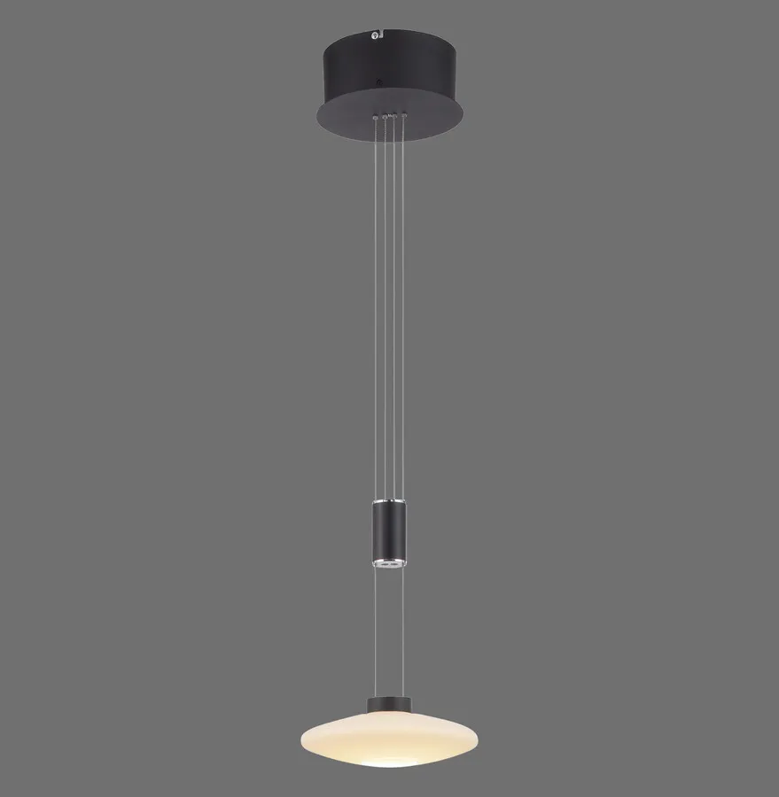 Lampa wisząca LAUTADA 2080-18 - czarny