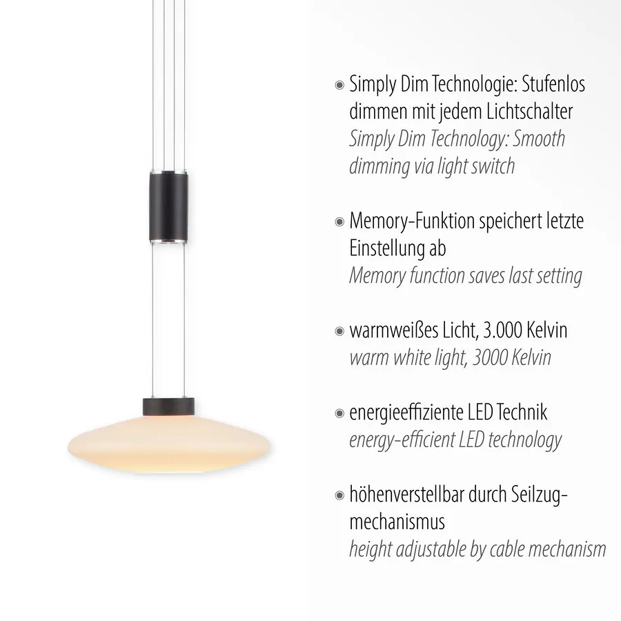 Lampa wisząca LAUTADA 2080-18 - czarny
