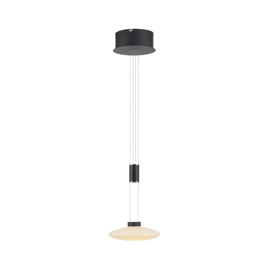 Lampa wisząca LAUTADA 2080-18 - czarny