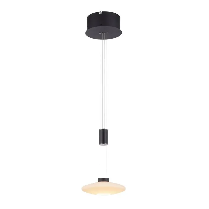 Lampa wisząca LAUTADA 2080-18 - czarny