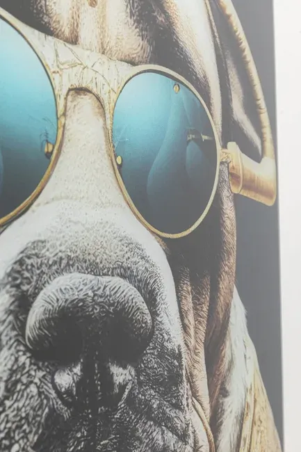 Obraz szklany FASHION DOG 60x80