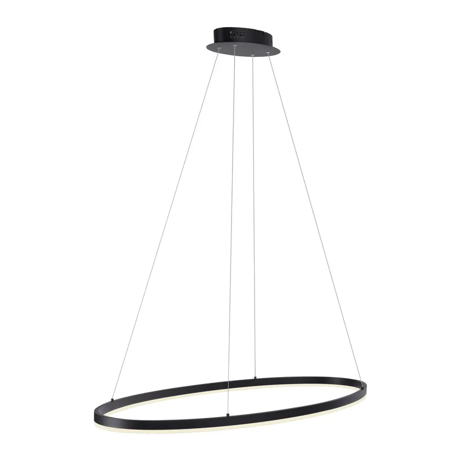 Lampa wisząca TITUS 2393-13 - antracyt