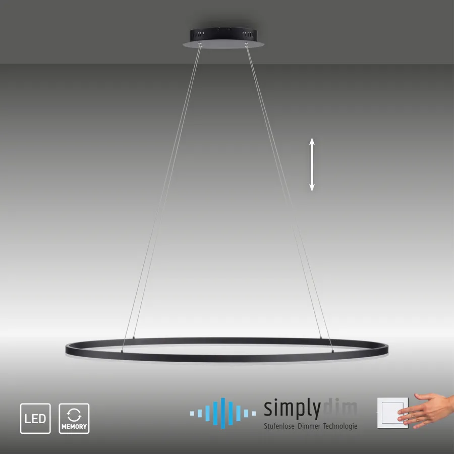Lampa wisząca TITUS 2393-13 - antracyt