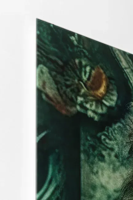 Obraz szklany MISTER LION 100x150