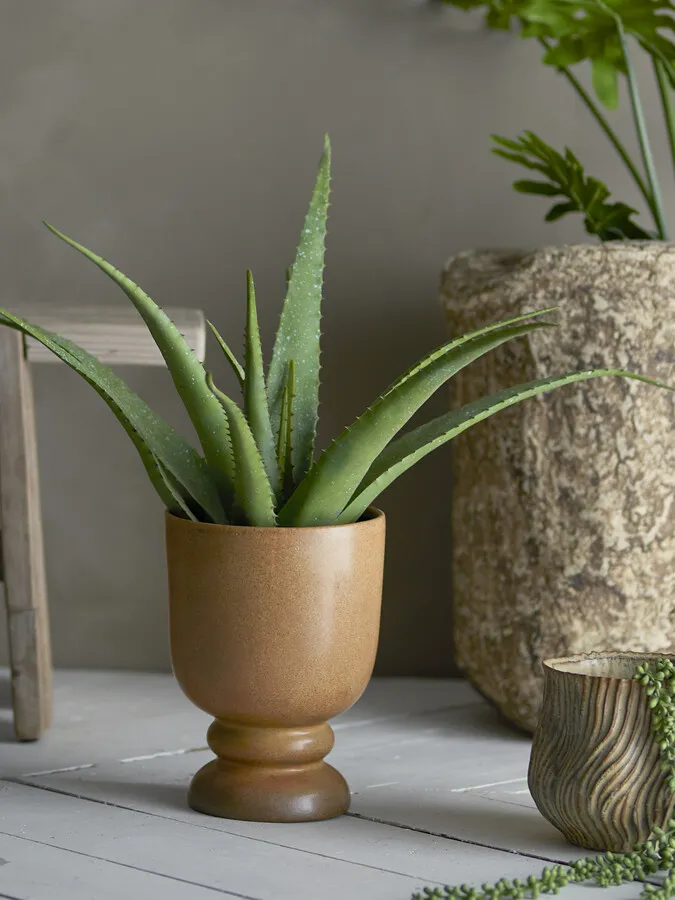 Roślina dekoracyjna ALOE 61 cm