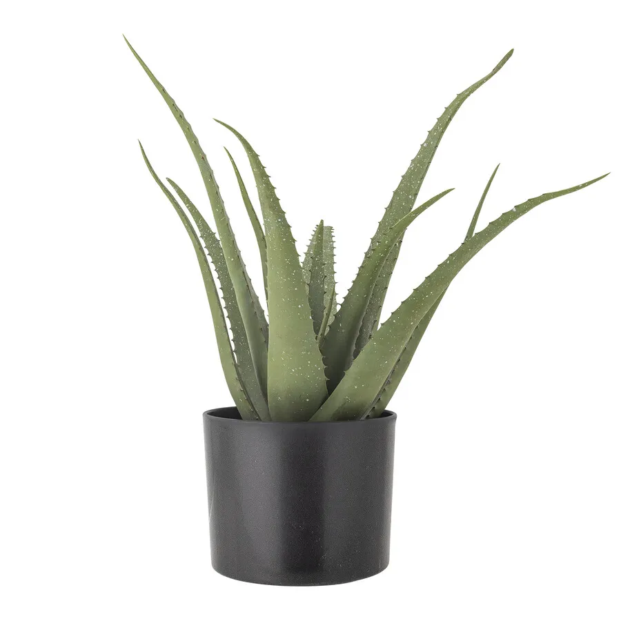 Roślina dekoracyjna ALOE 61 cm