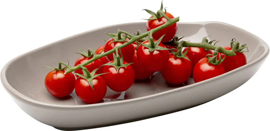 Półmisek ORGANIC 25x16 - szary