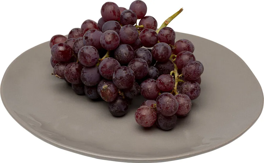 Talerz obiadowy ORGANIC 26 cm - szary