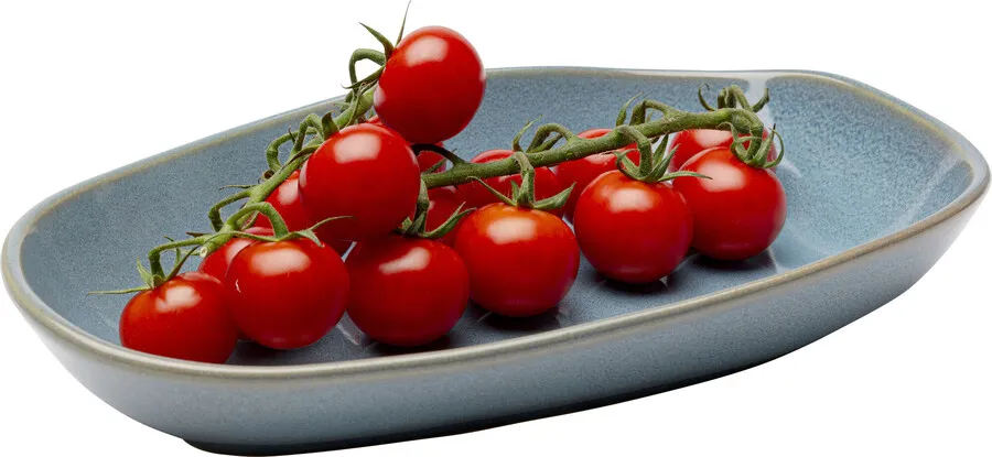 Półmisek ORGANIC 25x16 - turkusowy