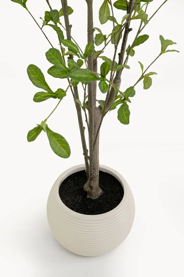 Roślina sztuczna PLUMBAGO TREE 152 cm