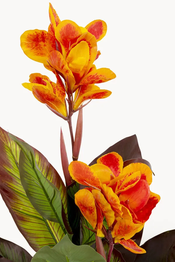 Roślina sztuczna CANNA LILY 115 cm