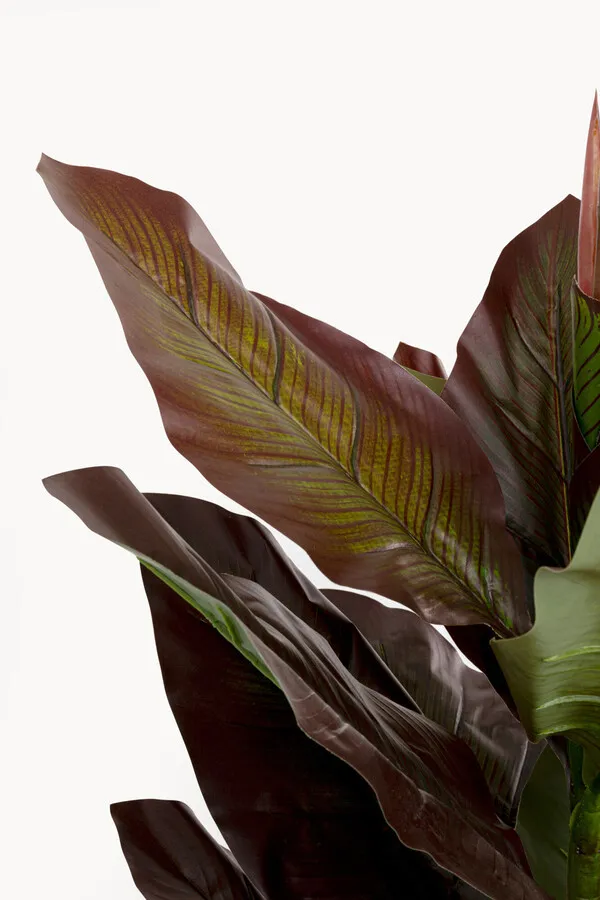 Roślina sztuczna CANNA LILY 165 cm