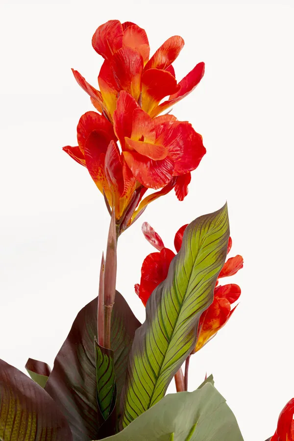 Roślina sztuczna CANNA LILY 165 cm